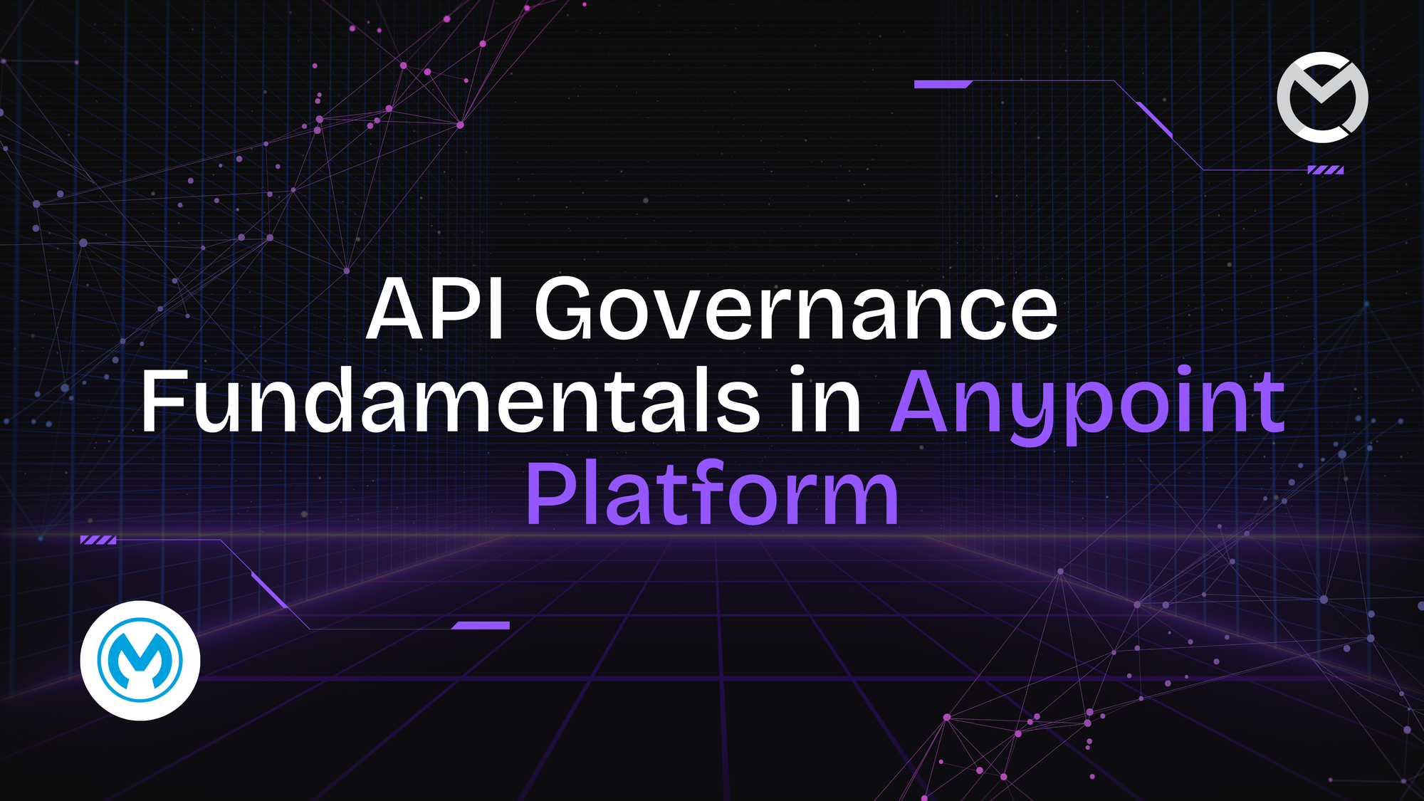 API Governance Fundamentals in Anypoint Platform