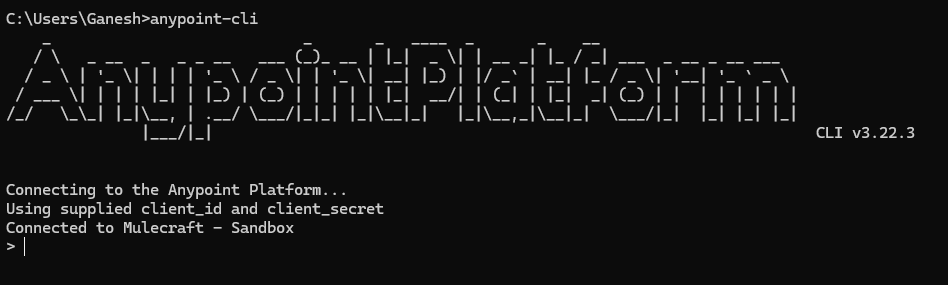 Deploy Mule Applications to CloudHub with Anypoint-CLI-v4